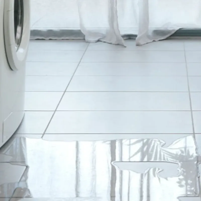 Appliance Leak Cleanup in Osceola, AR